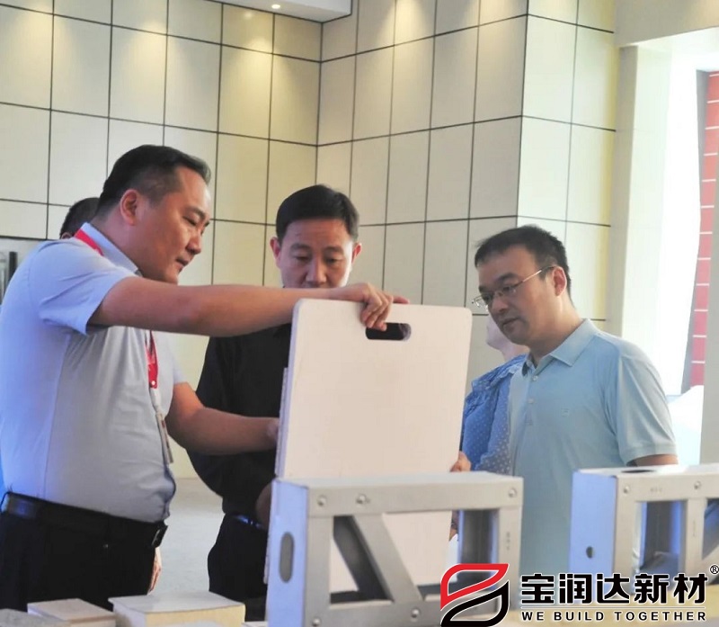 省委統(tǒng)戰(zhàn)部領導一行蒞臨寶潤達調(diào)研